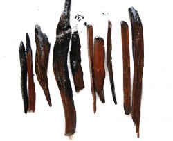図2	塩津港遺跡出土の松明 塩津港遺跡で最も多く出土した木製遺物。 どれも歪んだ原材（ヒノキの枝）を加工。