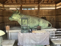 境内にある牛の銅像