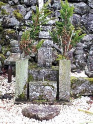 写真２　煕子の墓