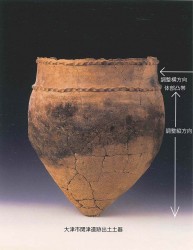 写真1　関津遺跡出土土器