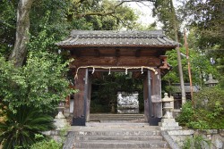 写真5　鳥居川の御霊神社(移築された膳所城の門)